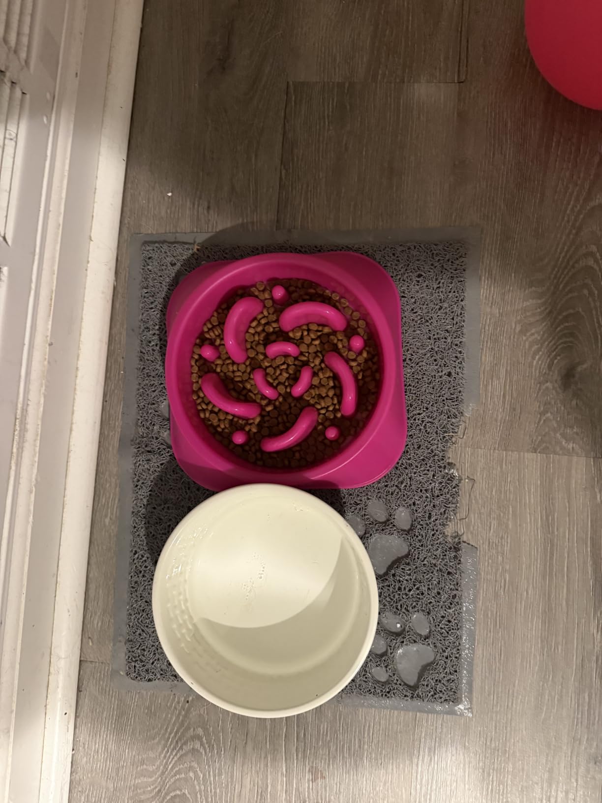 YINEYA Slow Feeder Dog Bowl for Medium Dogs, 2-Cup Puzzle Feeder Bowl customer photo 1