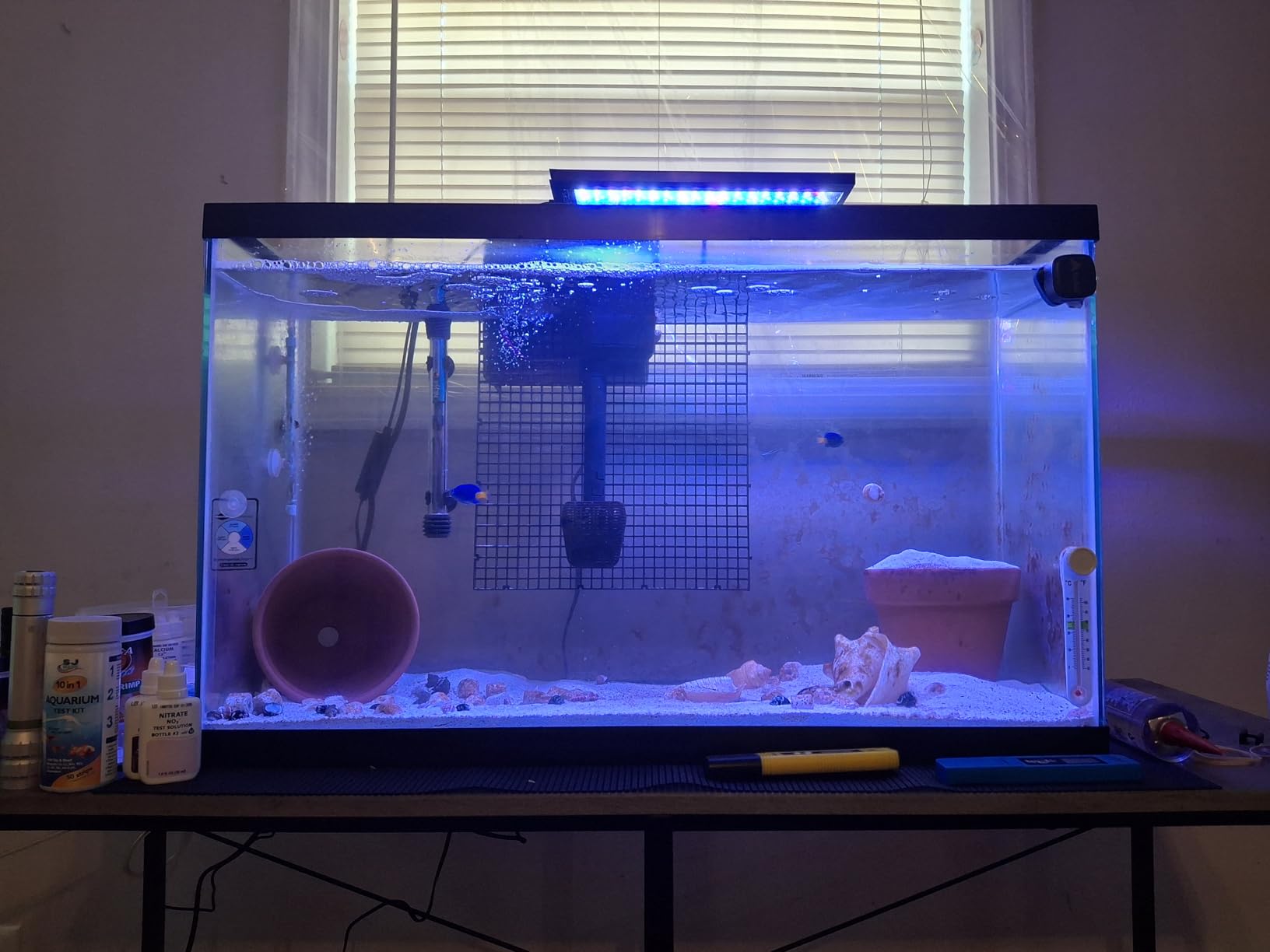 hygger Clip On 24/7 Saltwater Aquarium LED Light, 22W Sunrise-Daylight-Moonlight Mode and DIY Mode, Adjustable Timer Adjustable Brightness Fish Tank Light with 7 Colors for Coral Marine Tank customer photo 2