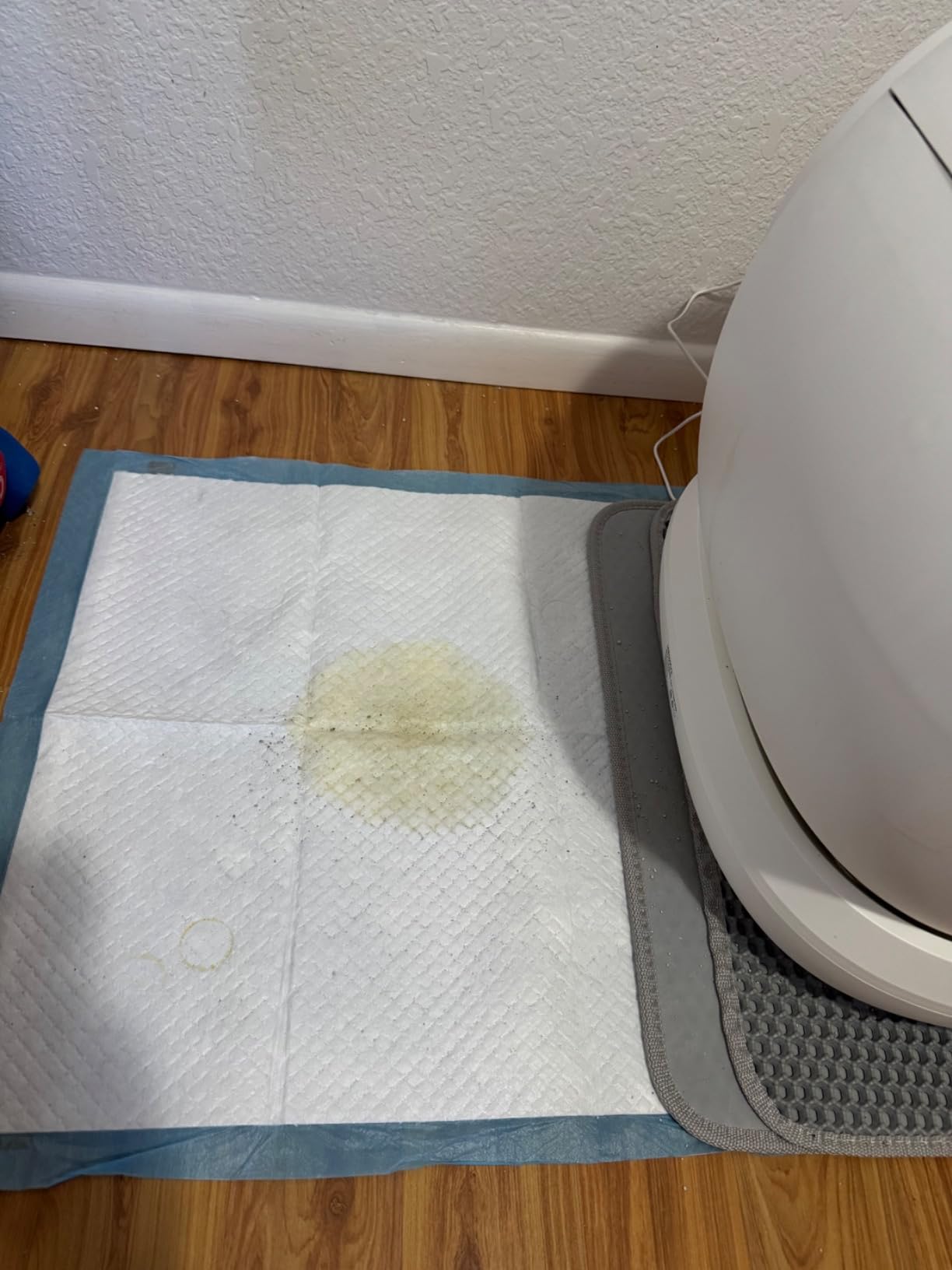 Meowant SC02 customer photo 1