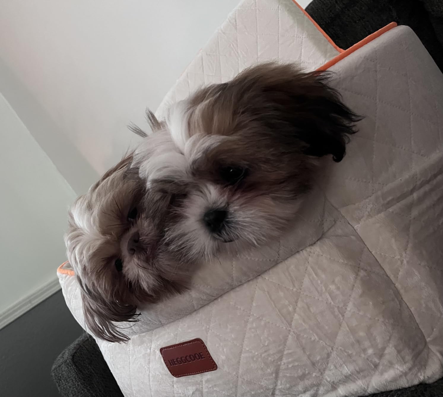 HEGGCOOE Small Dog Car Seat, Memory Foam Dog Booster Car Seats with Thick Cushion for Medium Dogs Under 35lbs, Detachable Washable Dog Bed for Car, Pet Carseat with Storage Pockets,2 Safety Belts customer photo 1