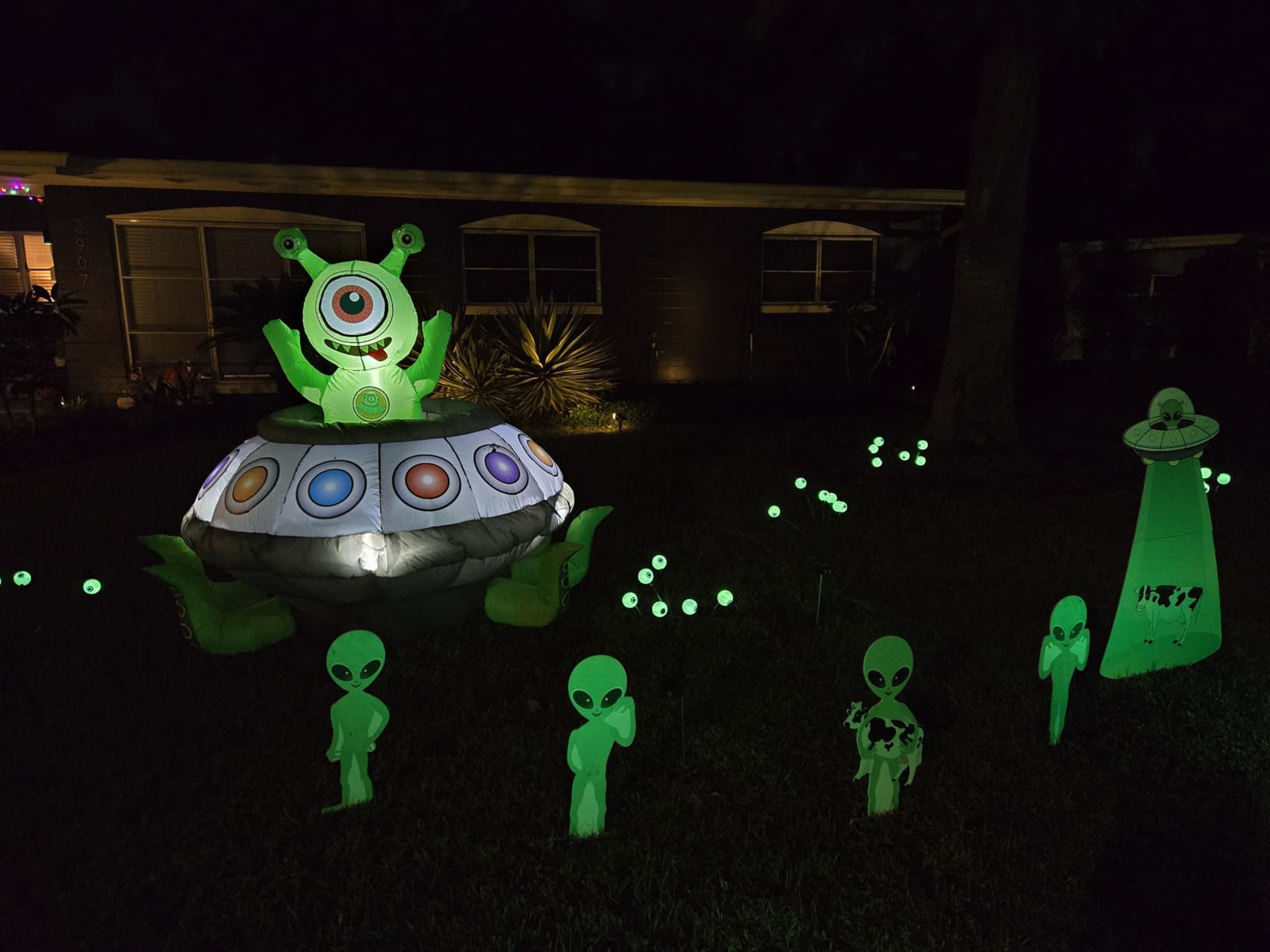 YIQU Solar Eyeball Lights customer photo 1