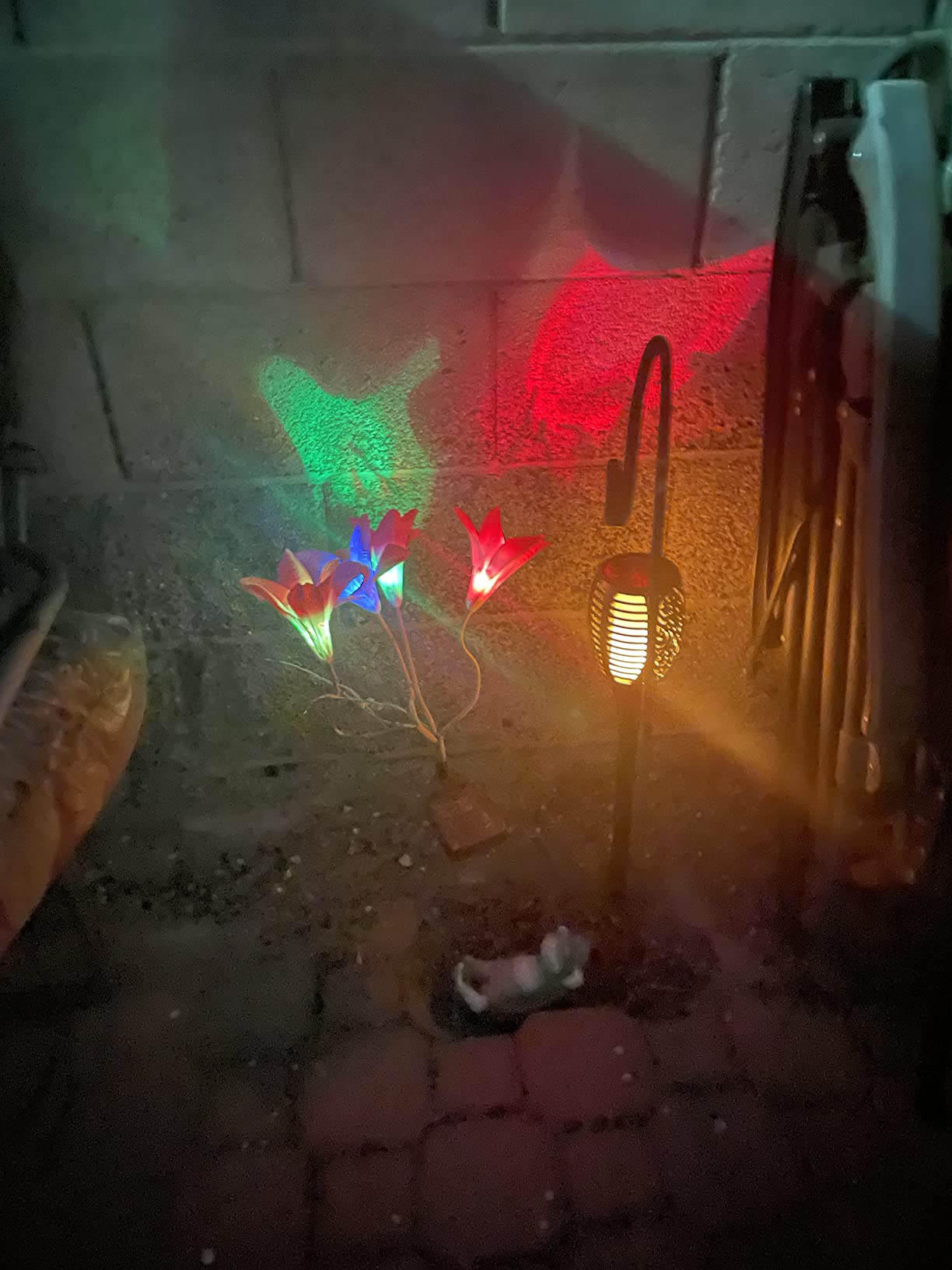 YIQU Solar Eyeball Lights customer photo 2