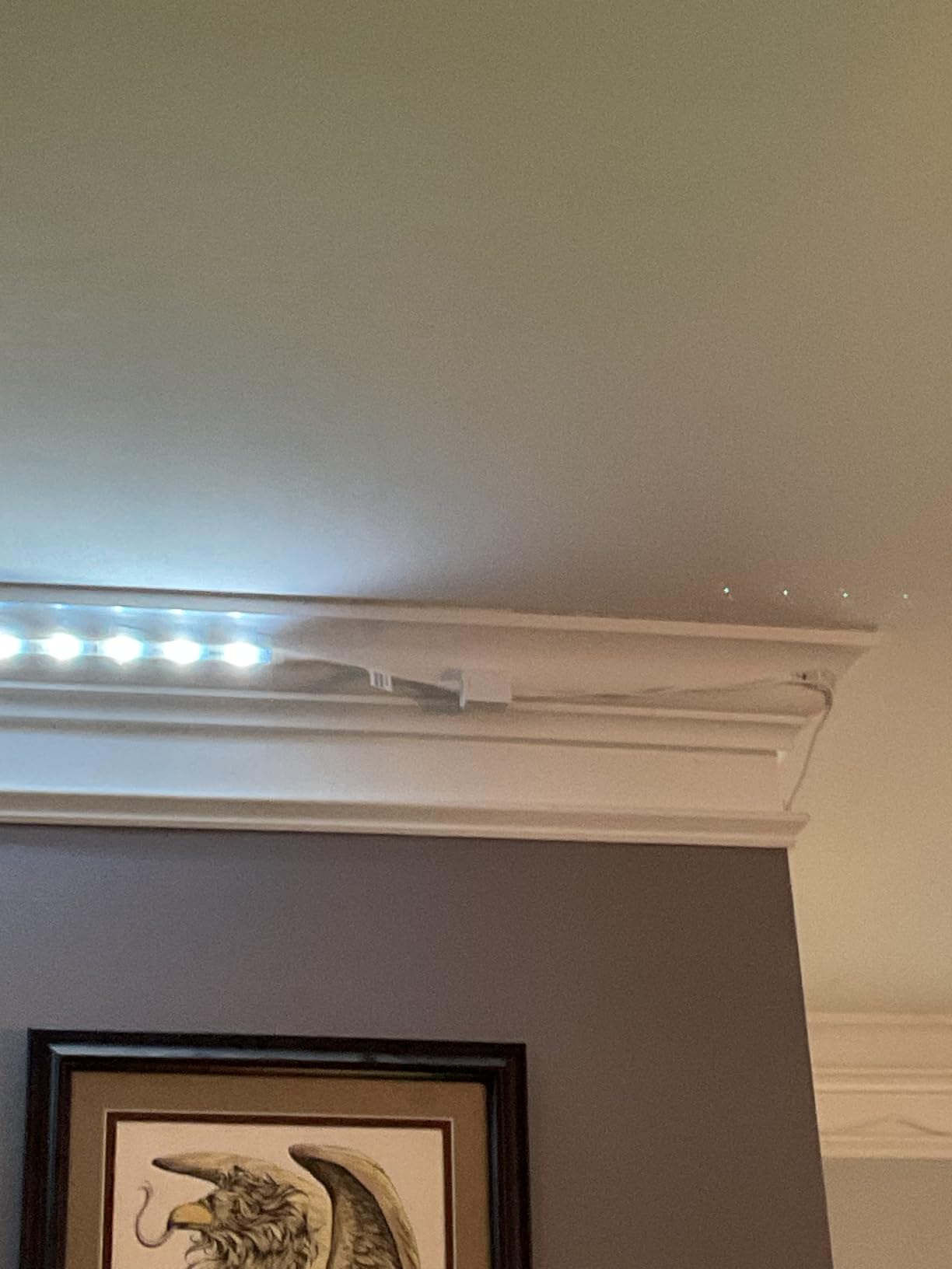 Hue Solo Lightstrip customer photo 2