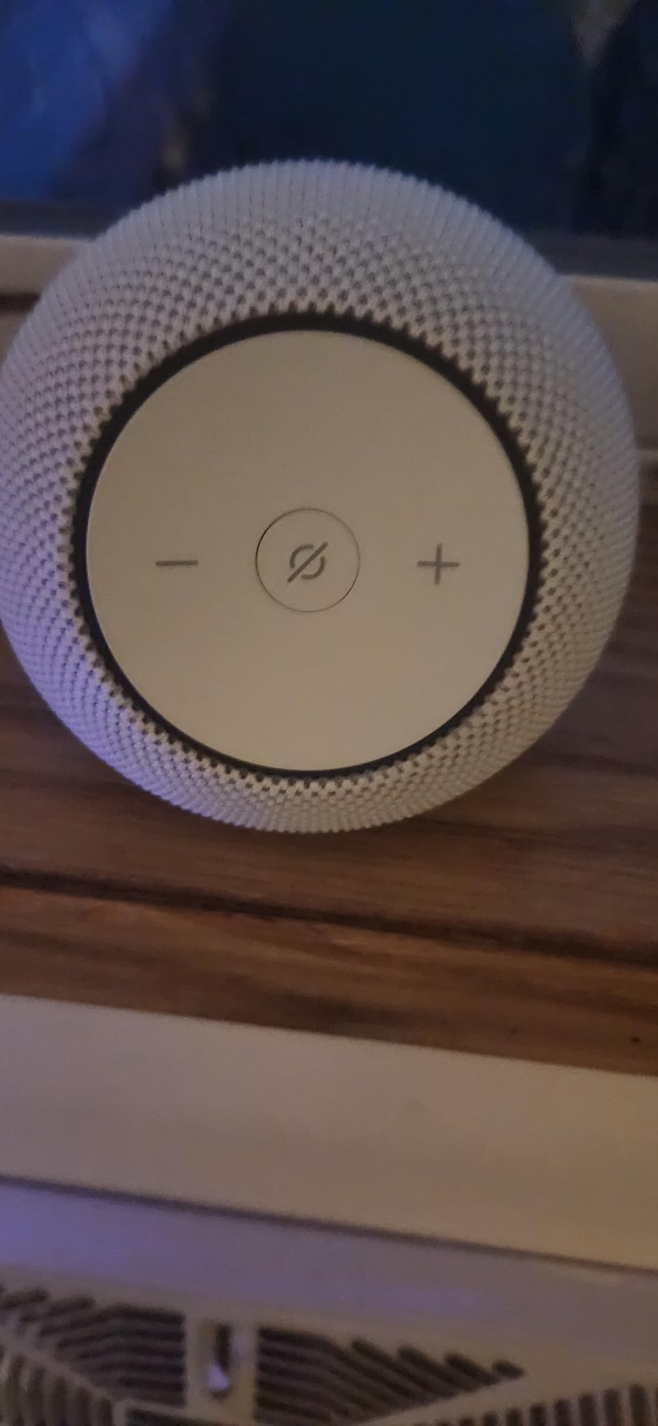 Amazon Echo Dot Max customer photo 1