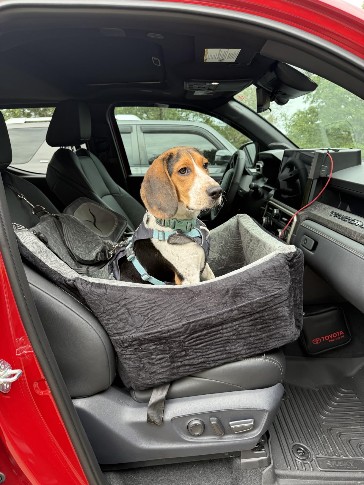 Lealchum Dog car seat for Medium Dogs,Easy to Install with Adjustable Straps,Anti Slip Bottom pet car Bed,Fully Detachable and Washable pet Travel Bed (Black/Grey, Medium) customer photo 2