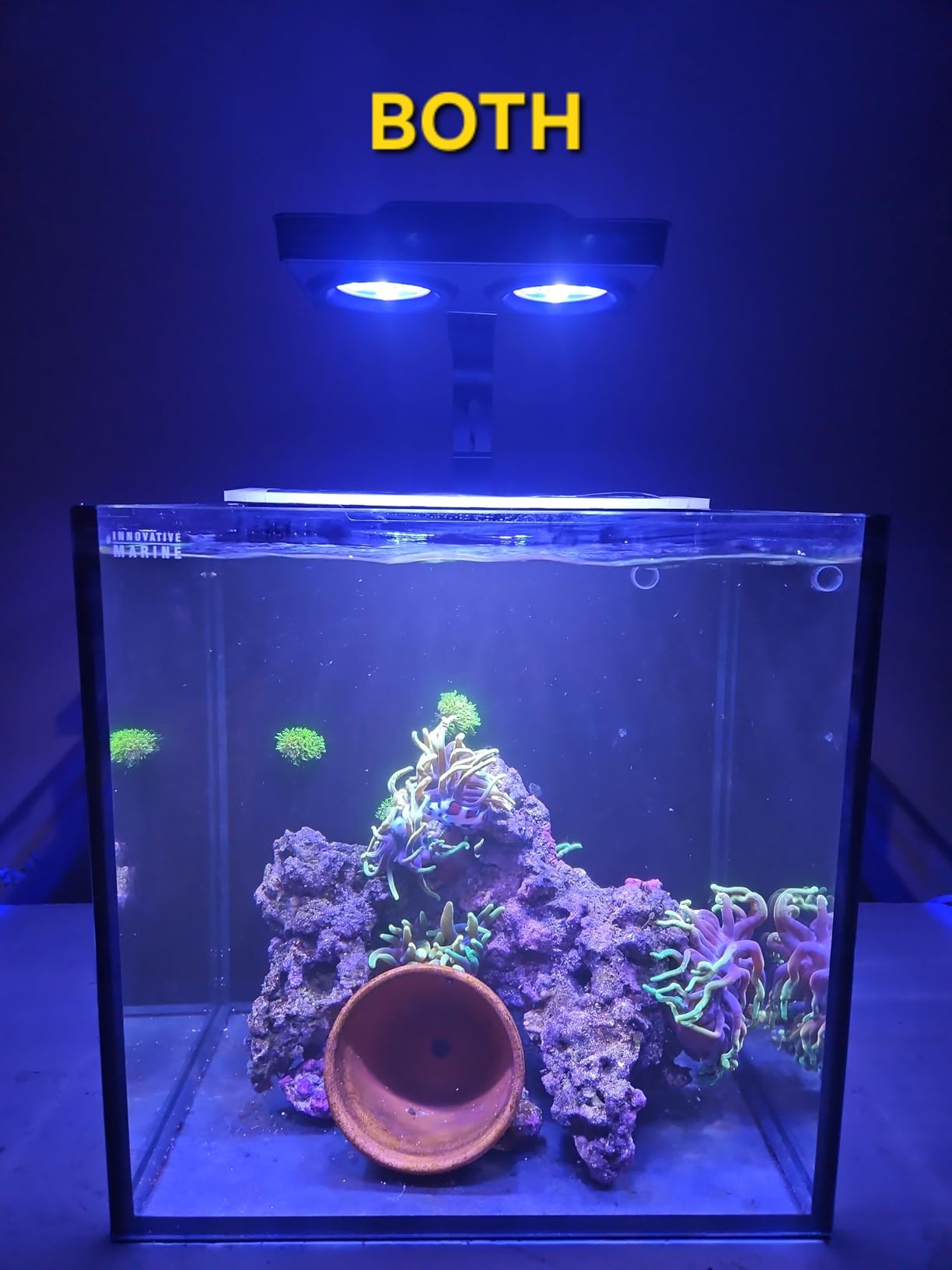 A036 5rd Reef Tank Light 36 Watts Saltwater Light with Touch Control, Reef Lights for Coral Reef Nano Fish Tank Marine Tanks with Timer & Screen customer photo 2