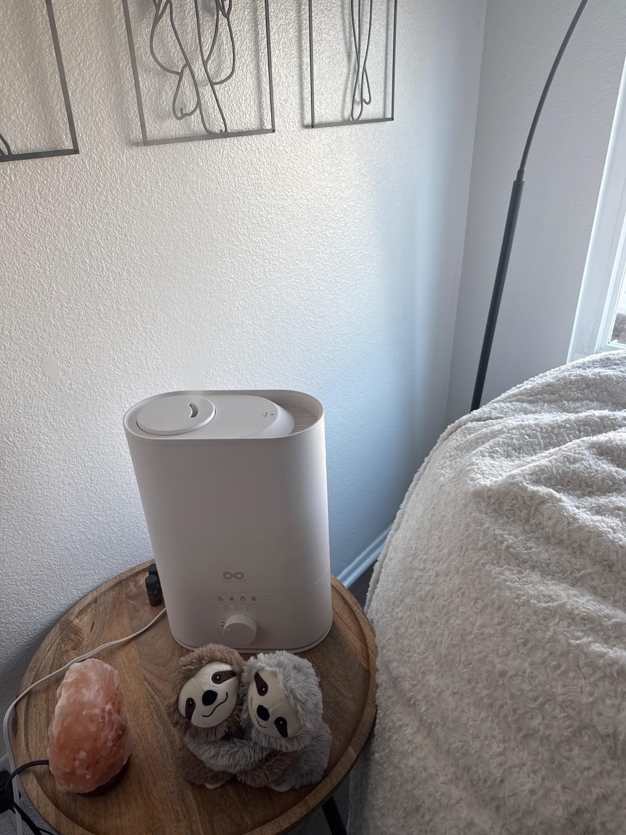 Everlasting Comfort 6L Large Humidifier for Bedroom, 28 dB Cool Mist customer photo 1