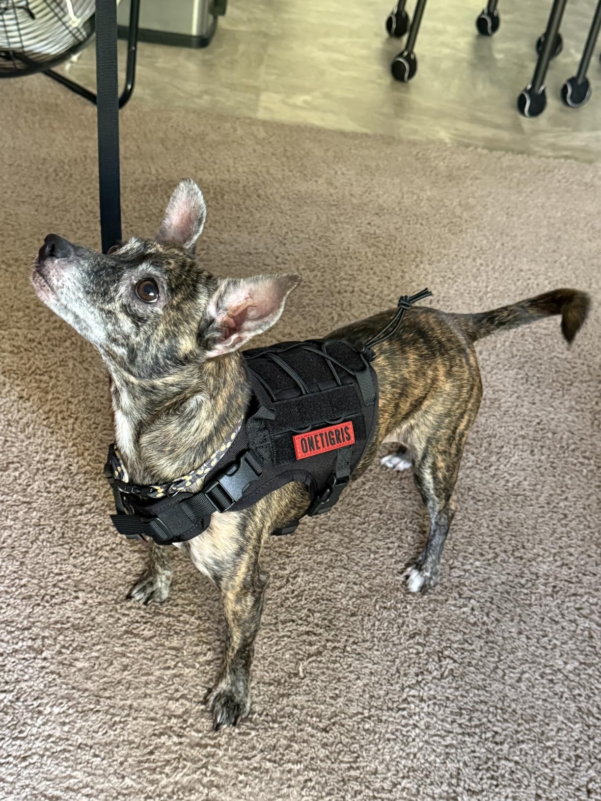 OneTigris Tactical Dog Harness Vest No-Pull Service Dog Vest for Large Dogs customer photo 1