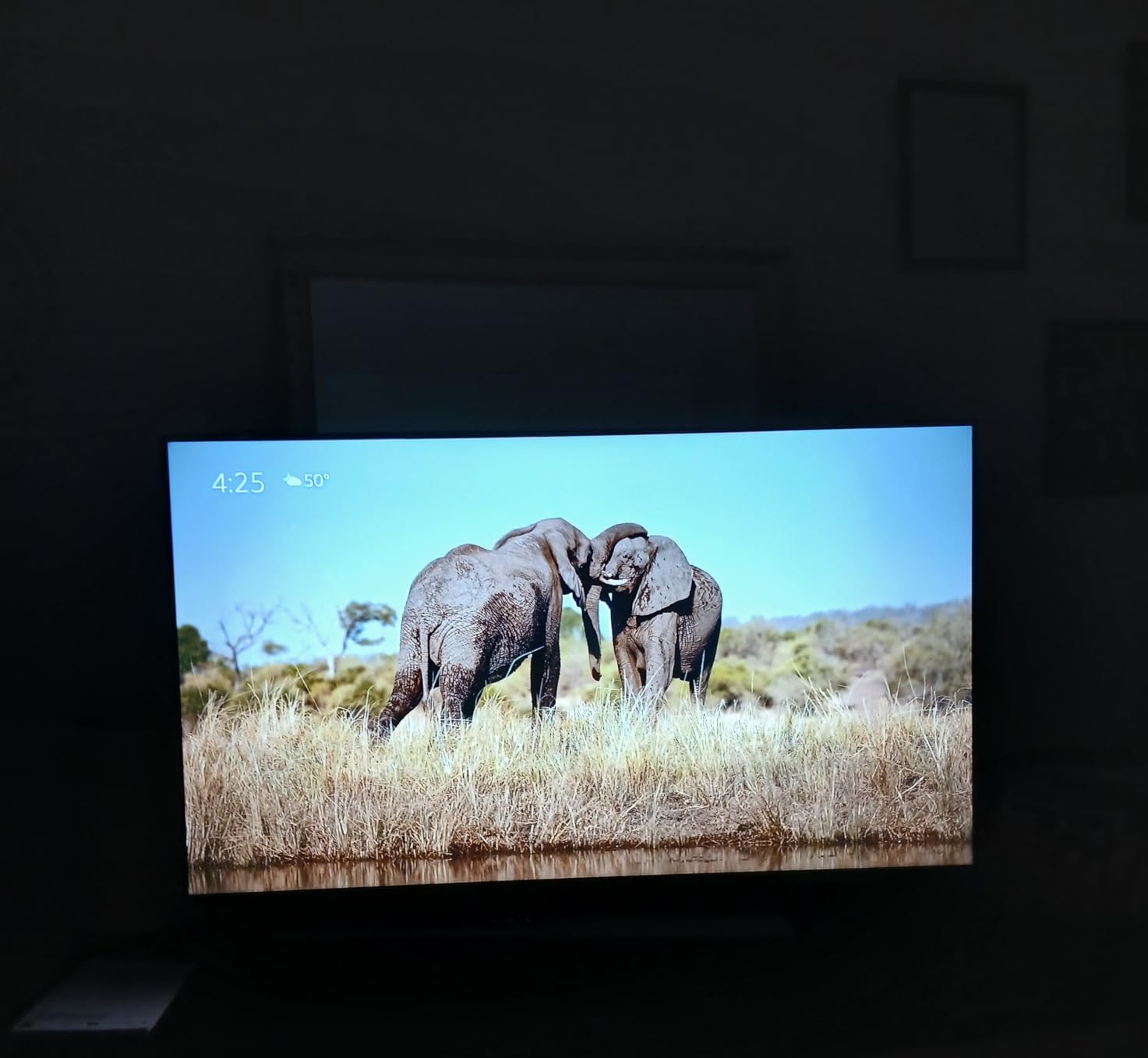 Amazon Ember 4-Series customer photo 2