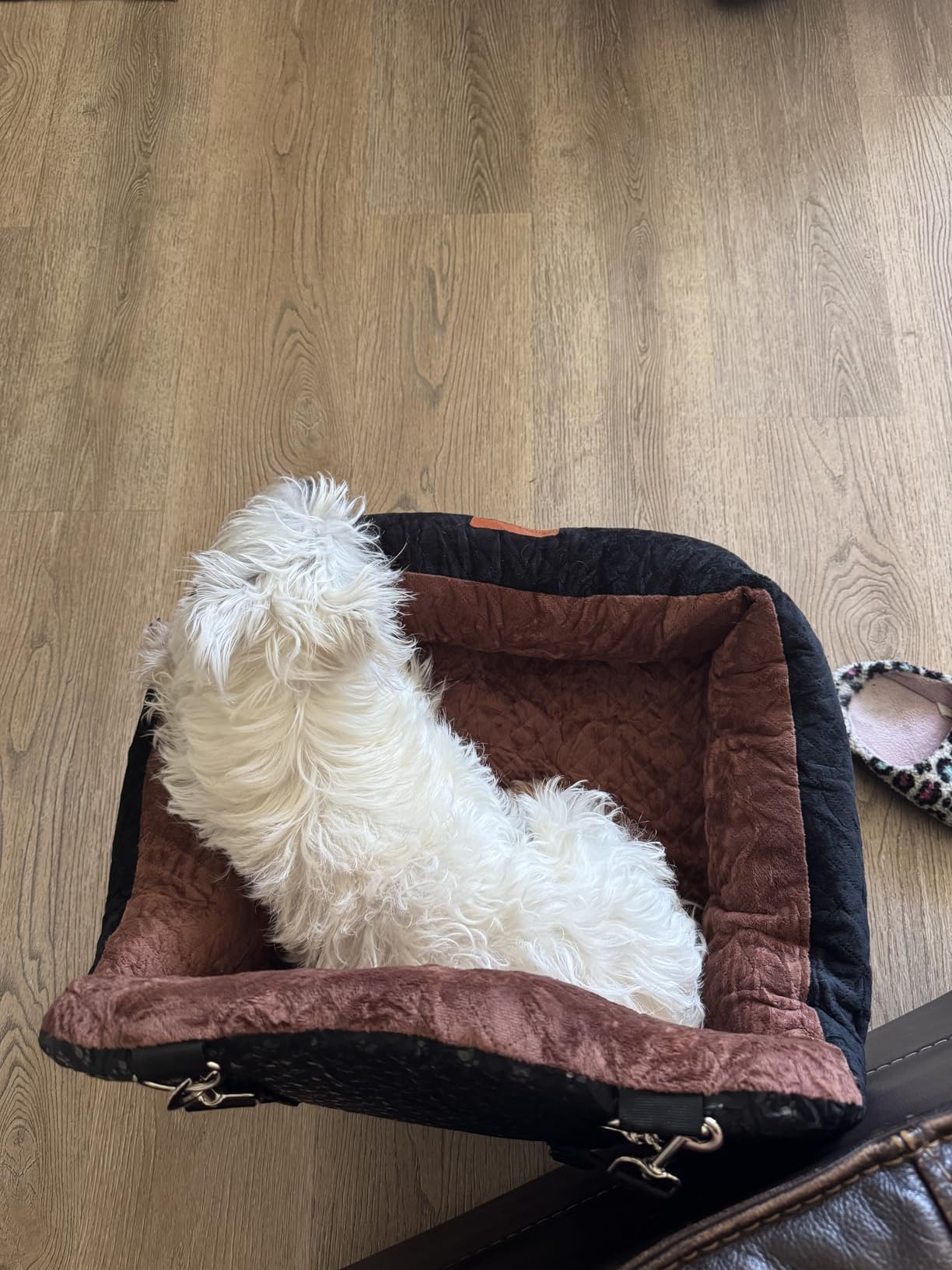 Dog Booster Car Seat with 7 Inches of Interior Height,Elevated Pet Car Seats for Small/Medium Sized Dogs,Puppy Portable Carseat,Washable Removable Cover Travel Safety Seat,Easy to Use(H-Grey) customer photo 1