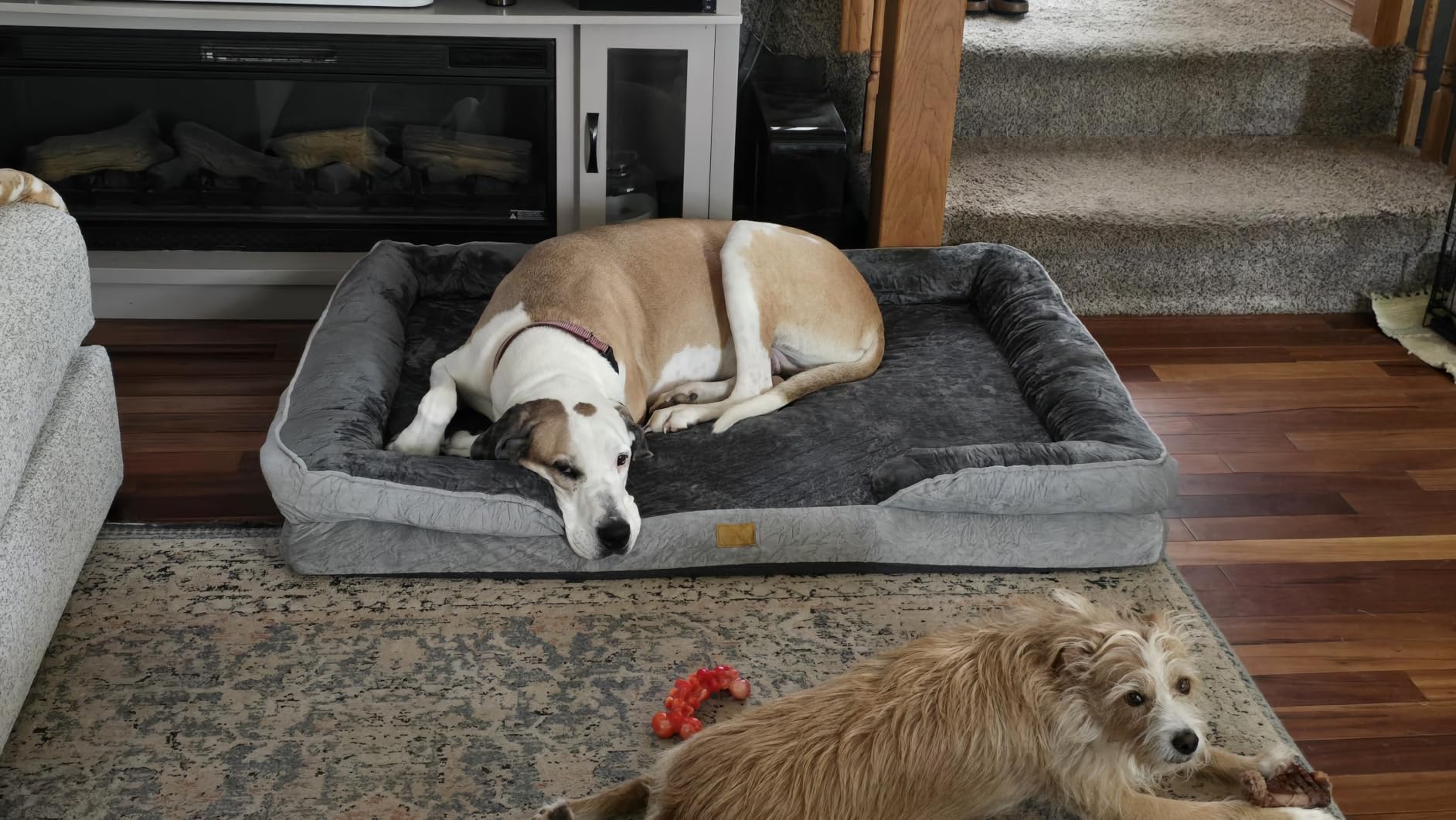 Spotted Play Orthopedic Dog Bed with Sides - Dog Sofa Beds for Large Dogs, Supportive Foam Pet Couch Bed with Washable Removable Cover, Waterproof Lining and Non-Slip Bottom, Grey - L customer photo 1