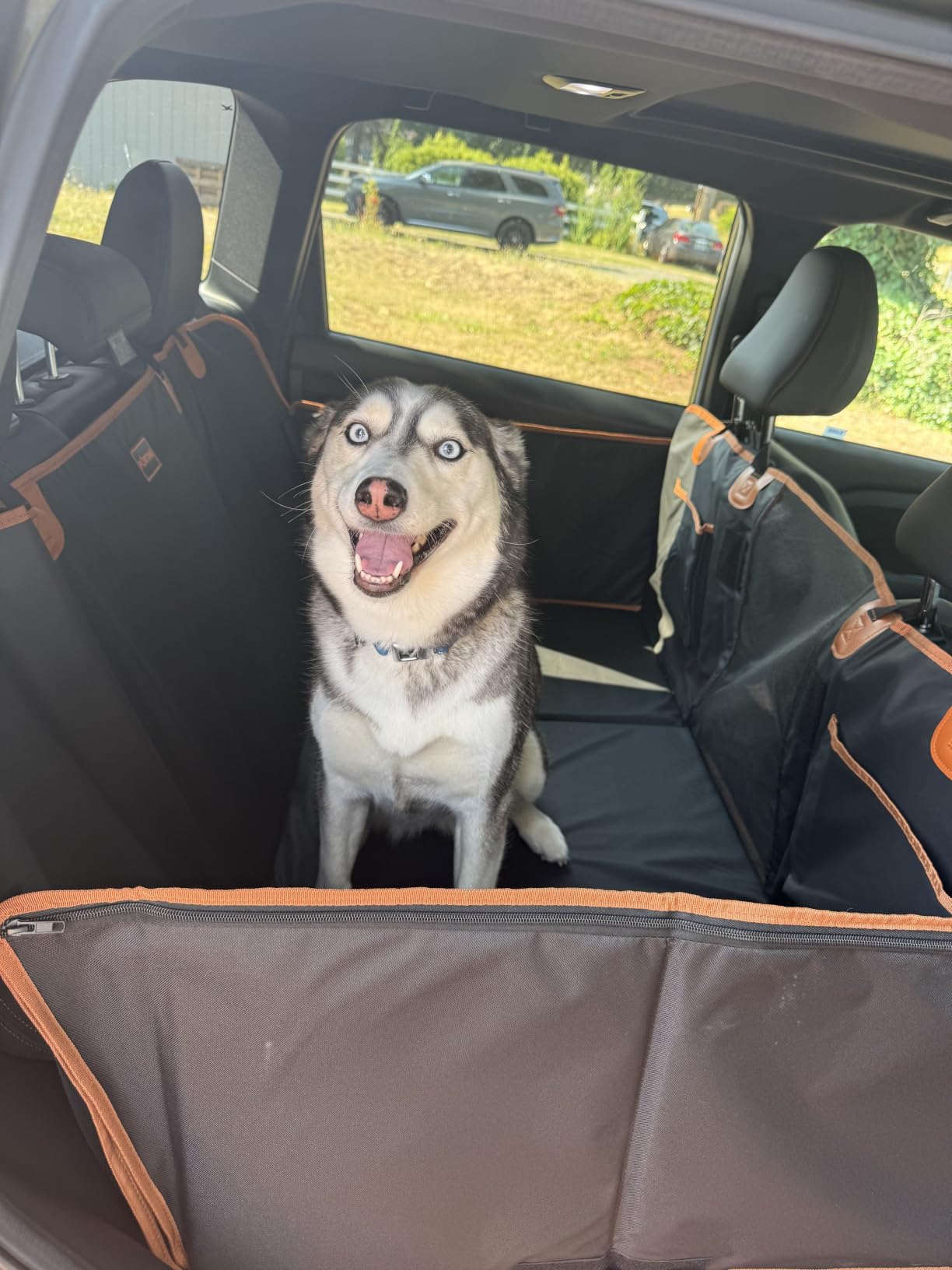 FURTIME Dog Car Seat Cover for Back Seat, PU Leather Back Seat Extender customer photo 1