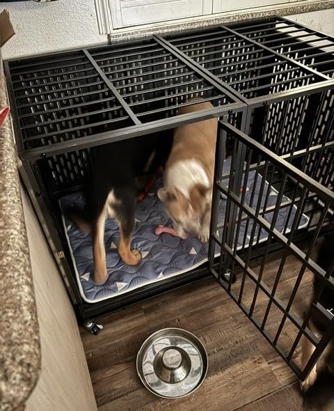 Snuowu 38 Inch Heavy Duty Dog Crate with Wheels, Metal Big Dog Cage for Large and Medium Dogs, Extra Large XL XXL Indestructible Dog Crate with Removable Tray. customer photo 1
