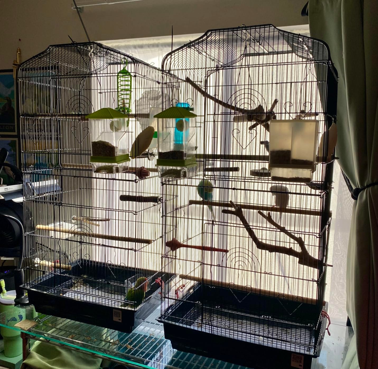VEVOR 41-inch Open Top Large Parrot Bird Cage, Hanging Bird Cage for Parakeets Finches Canaries Lovebirds Cockatiels Budgies Small Quaker Conures Travel Pet Flight Birdcage with Swing and Perch customer photo 2