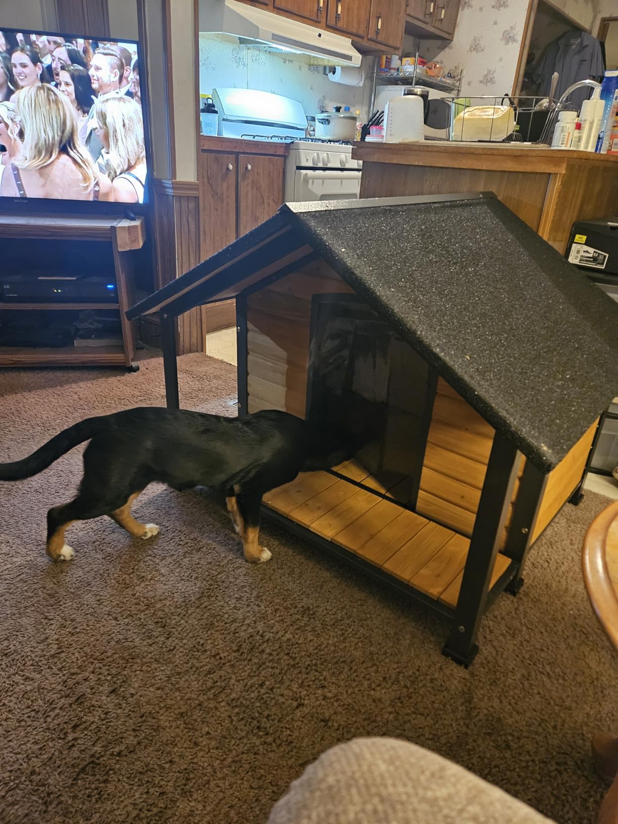 Suumerpety Medium Heated Dog House Outdoor with Insulated Liner for Winter customer photo 2