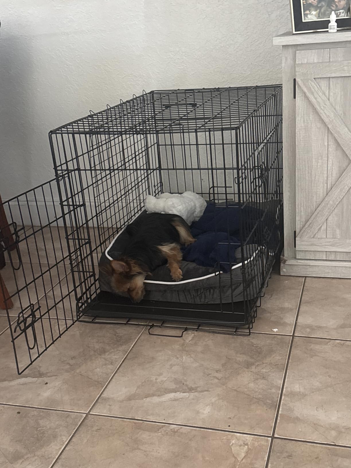Simple Deluxe 24-Inch Small Dog Crate with Divider, Double Door Folding Metal Wire Cage with Leak-Proof Plastic Tray, Portable Pet Kennel for Indoor, Outdoor, and Travel customer photo 2