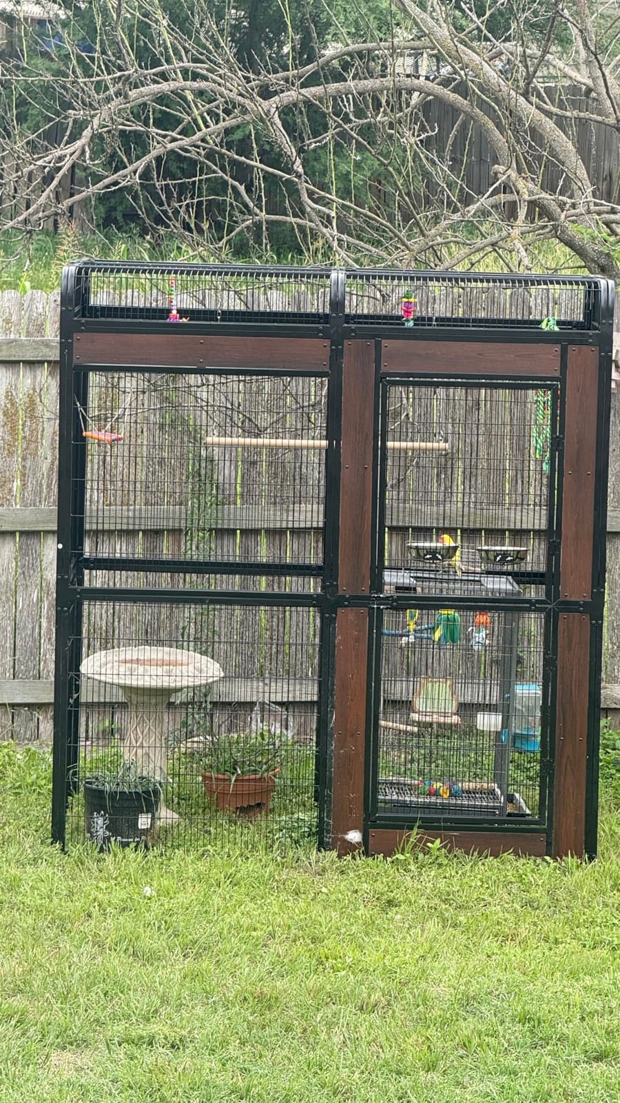 Large Bird Cage for Parakeets Outdoor Bird Aviary Parrot Cage with Perch, Birdcage for Macaws Canaries Parrots Budgie Lovebirds-White (2 Box Set) customer photo 1