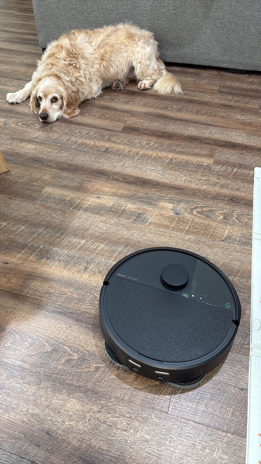 iRobot Roomba Plus 405 (G181) 2in1 Vacuum & Mop Robot with AutoWash Dock - Dual Spinning, Smart & Fast Mapping, Ideal for Pet Hair, Self-Empties 75 Days, Intense Suction, Pad Washing & Drying customer photo 2