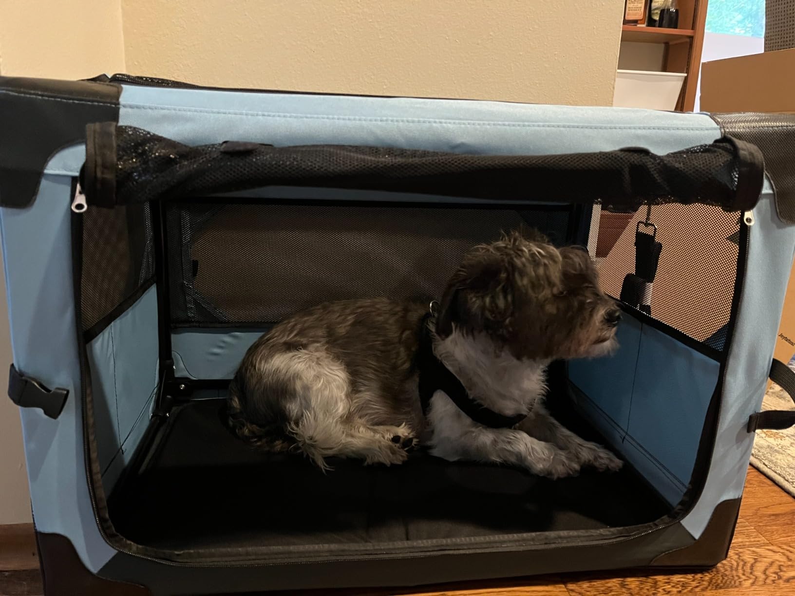 JOYTUTUS Collapsible Dog Crate, 38 Inch Portable Pet Crate for Car, Travel Dog Kennel Foldable Dog Crate for Large Dog 70lbs, Soft Cat Carrier Fit for Indoor & Outdoor/Trunk (Blue) customer photo 2