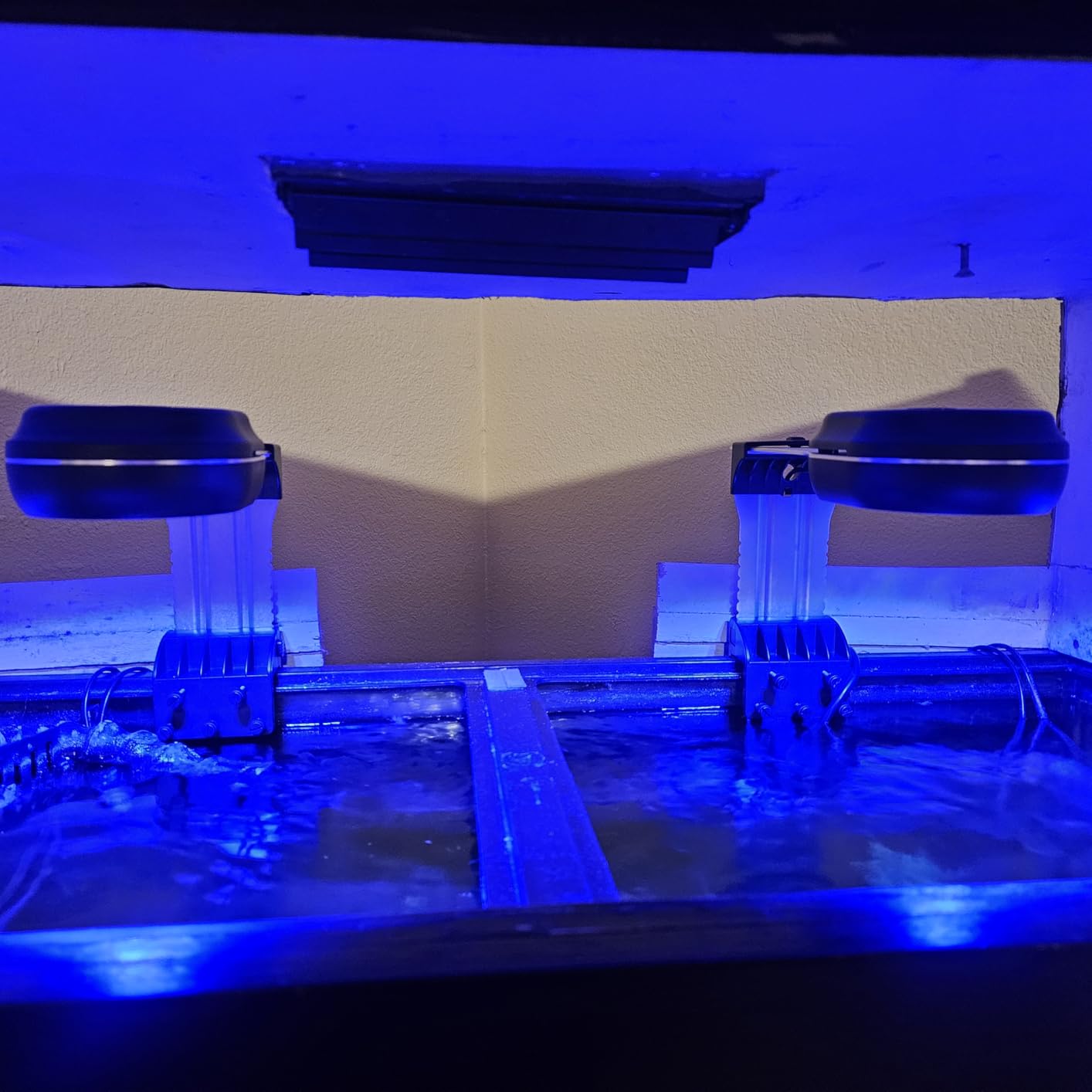 PopBloom 65W Aquarium LED Reef Lights for Corals, WiFi Smart, Rich Shimmer customer photo 1