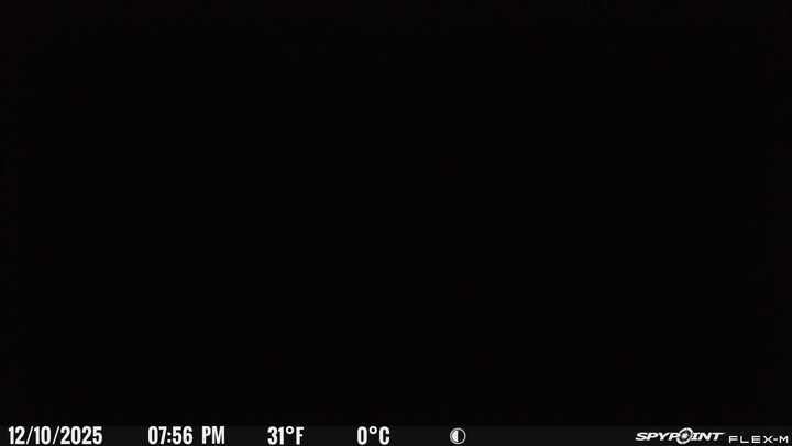 SPYPOINT Flex-M and SD Card Pack - Cellular Trail Cameras |Best Value in Hunting Accessories |No WiFi Needed & GPS-Enabled |Hunting Night Vision | IP65 Waterproof |28MP Photos, 720p Videos customer photo 1