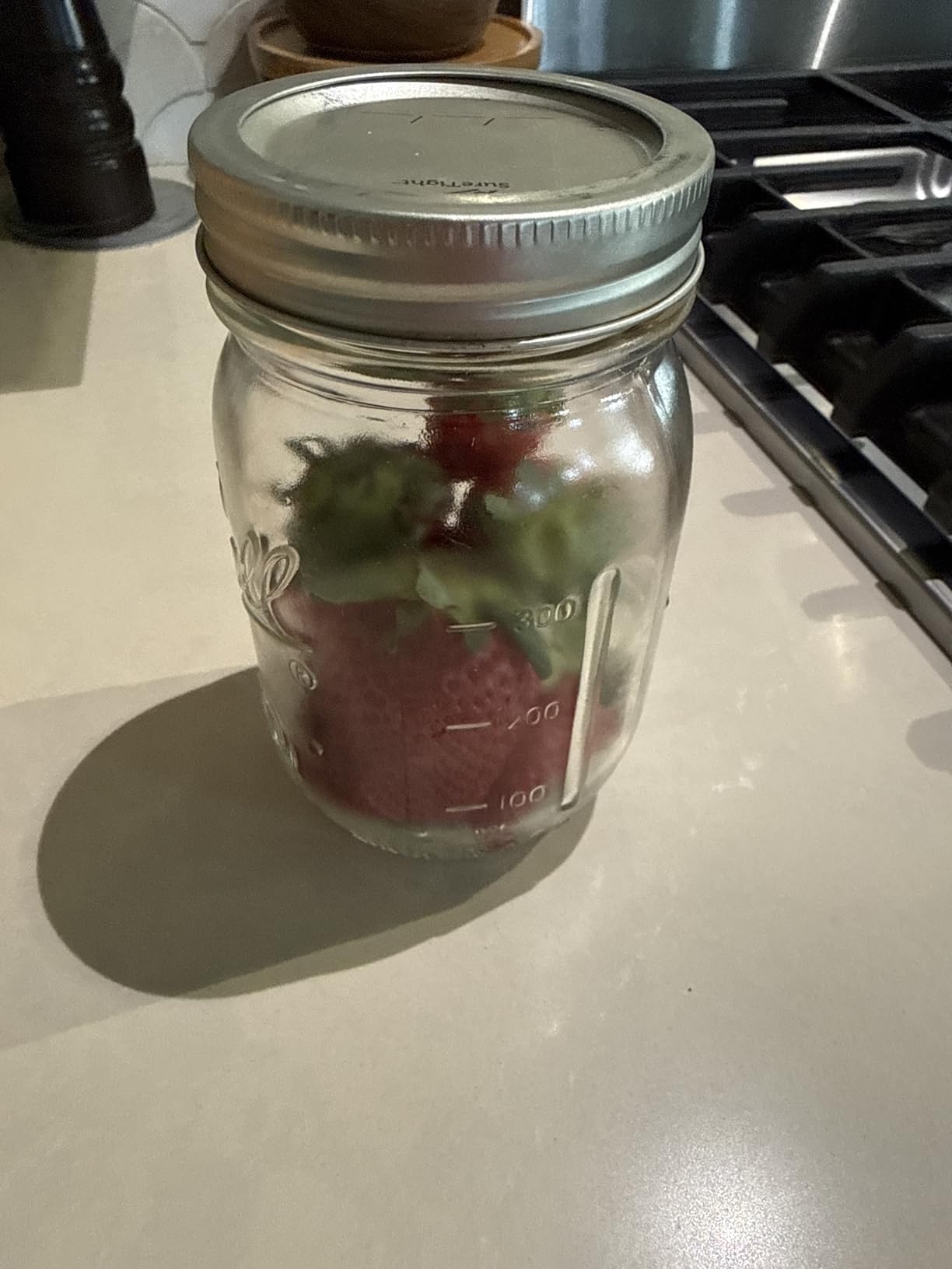 2026 Upgraded One-Integrated Mason Jar Vacuum Sealer, Fully Automated customer photo 2