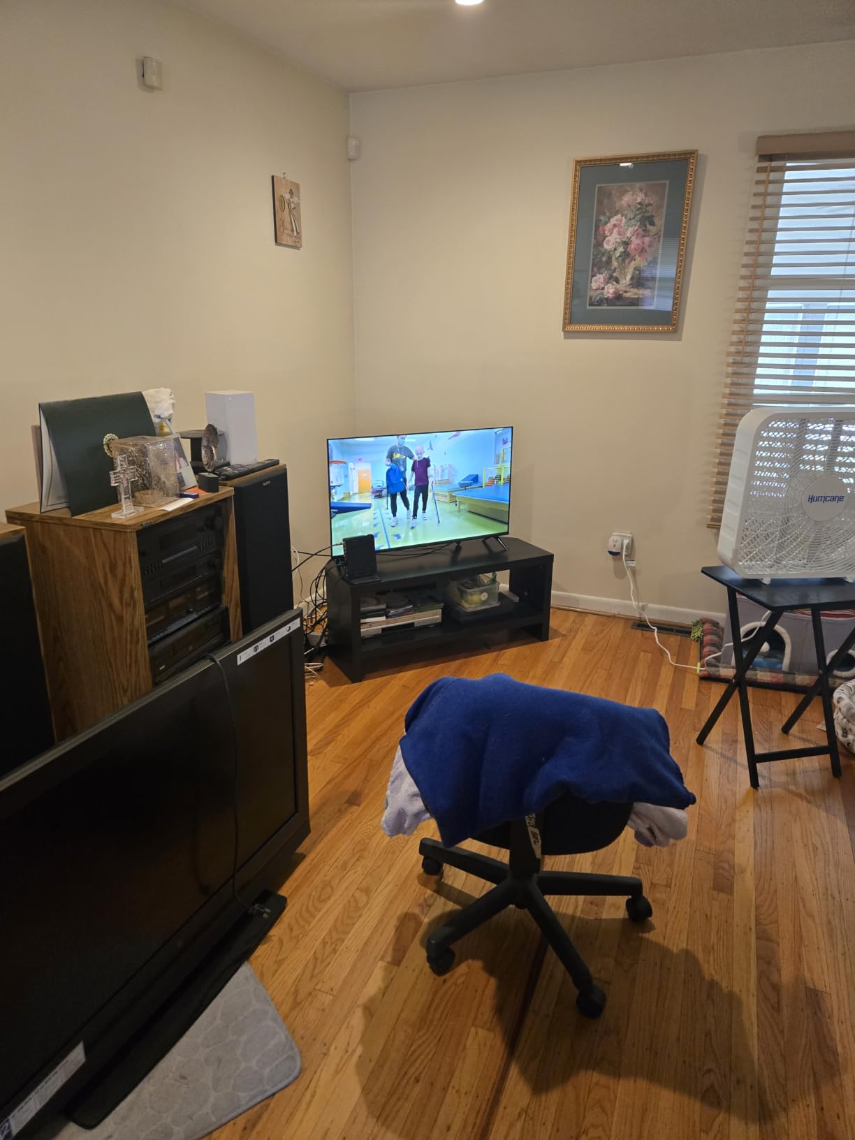 INSIGNIA FE 40-Inch customer photo 1