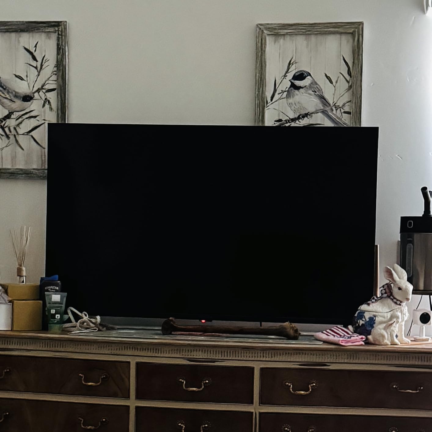 INSIGNIA F50 Series customer photo 1