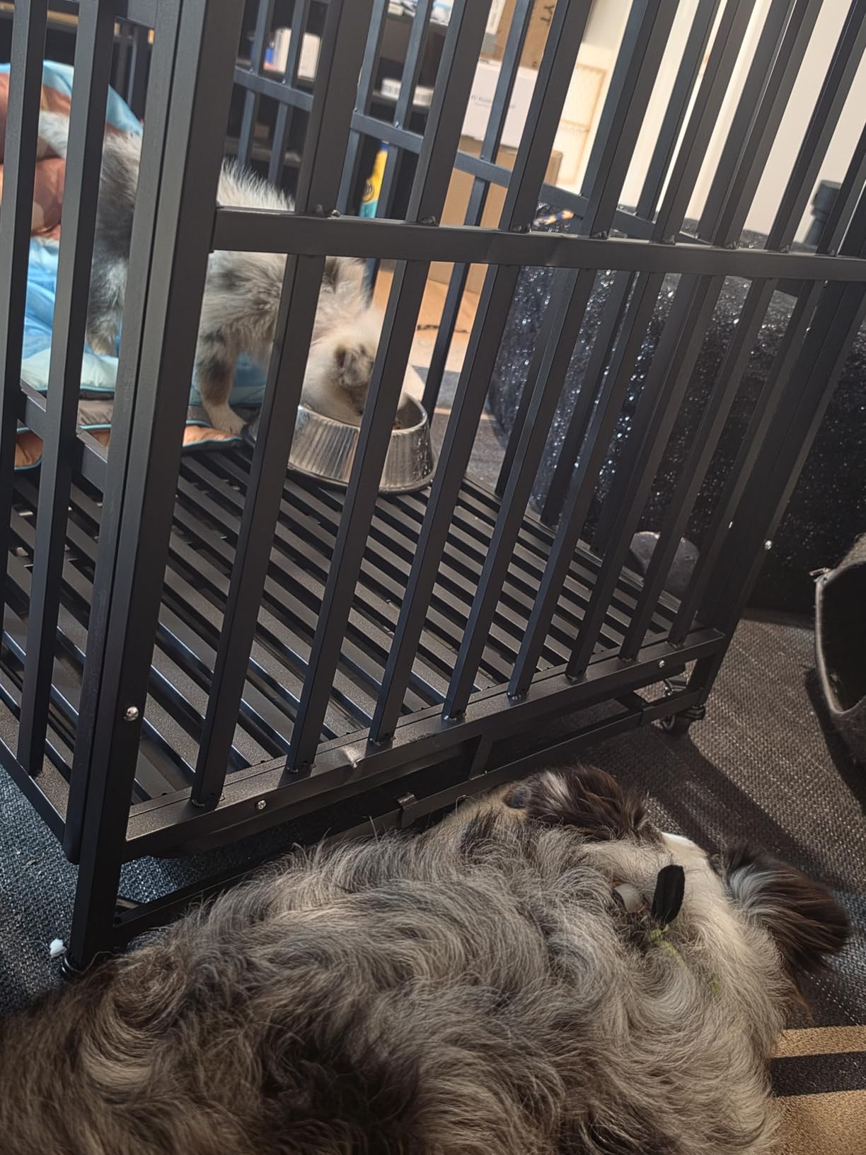 Heavy Duty Dog Crate, 49'' Large Indestructible Cage for High-Anxiety Dogs customer photo 2