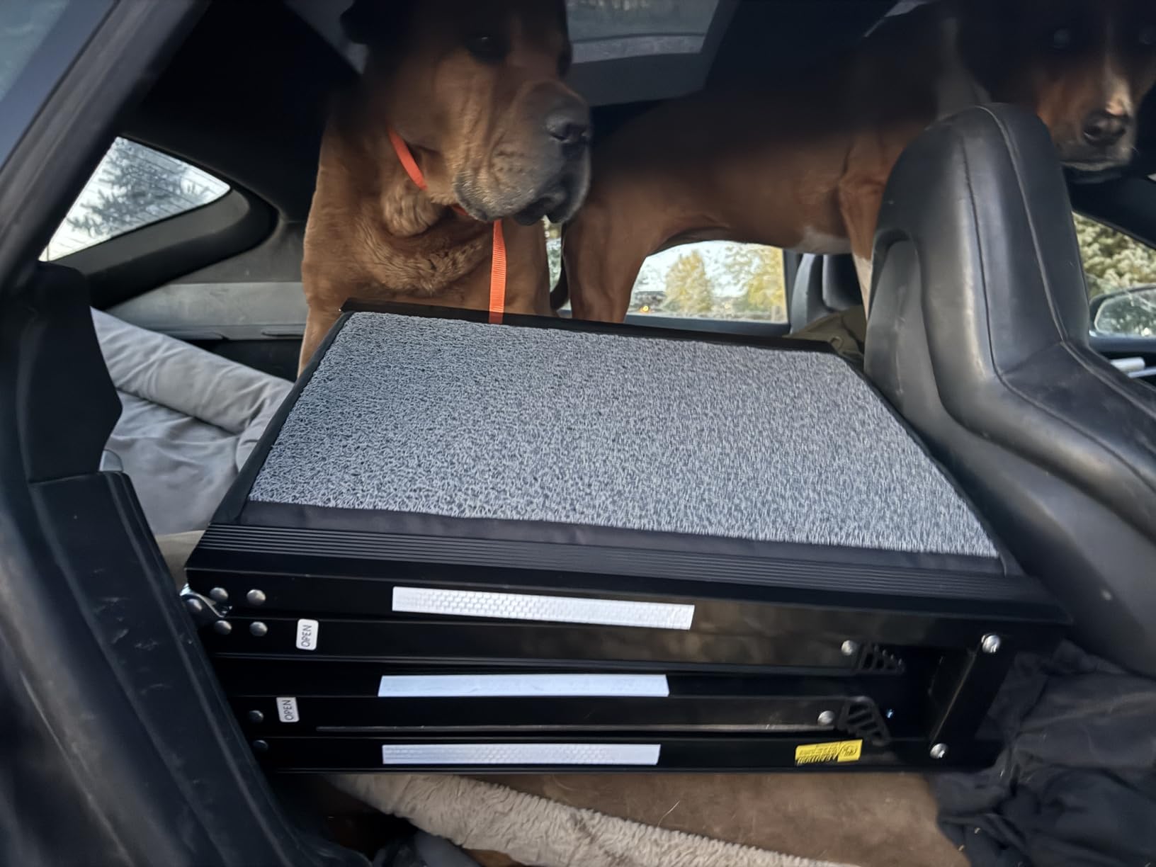 Dog Ramp for Car - 71