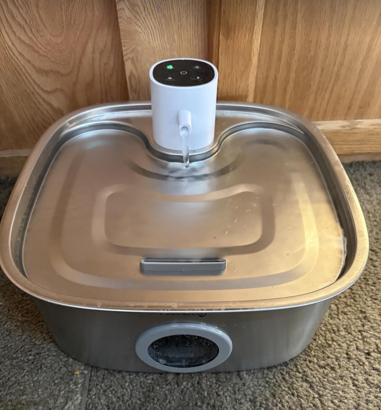 Cordless Wider Tray Dog Water Fountain, 5000mAh Battery Operated Dog Water Bowl Dispenser with 3 Motion Sensor, FEELNEEDY Stainless Steel Pet Water Fountain for Multi-Pets, Easy Setup & Clean, 8L customer photo 1