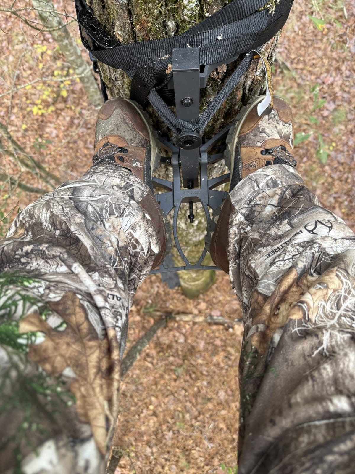 Kalkal Saddle Platform, Die-Cast Aluminum Adjustable Saddle Hunting Platform, Lightweight Tree Saddle Platform Hunting System customer photo 1