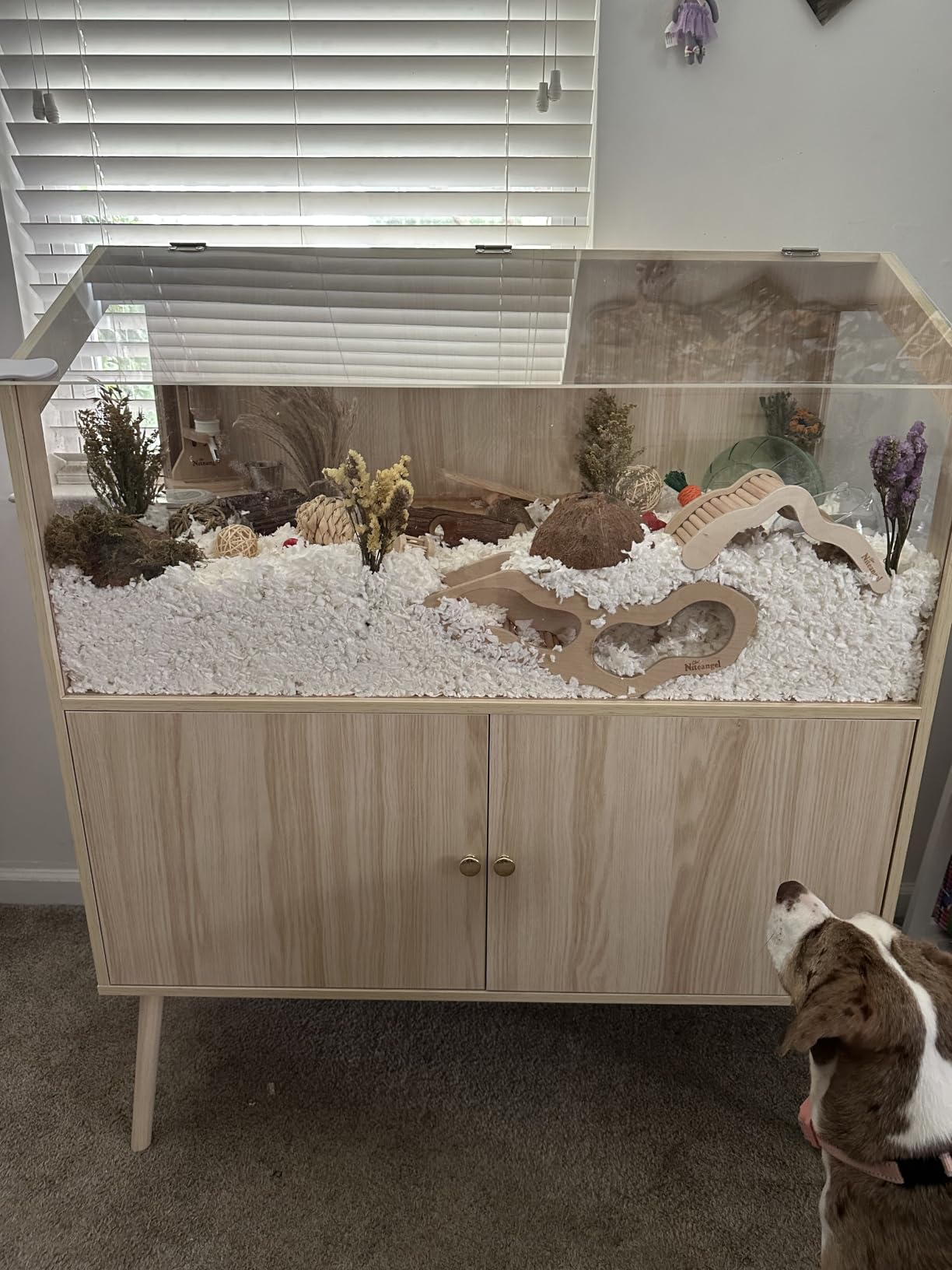 PROLEE Hamster Cage with Storage Cabinet,Large Hamster Encloure Chew Proof Wood,Clear View Hamster Habitat for Guinea Pig, Ferret, Rat, Hedgehog, 40