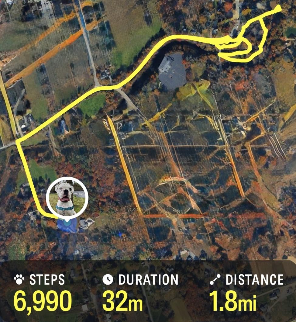 GEGOPet – Real-Time GPS Pet Tracker for Dogs & Cats, Unlimited Range, Safe Zones, Escape Alerts, Location History, Activity & Wellness Insights. Active Subscription Required. customer photo 2