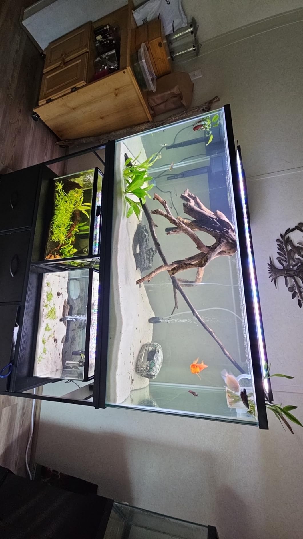 Heybly 55-75 Gal Fish Tank Stand with Drawer, Power Outlet, Black HAS005BK customer photo 1
