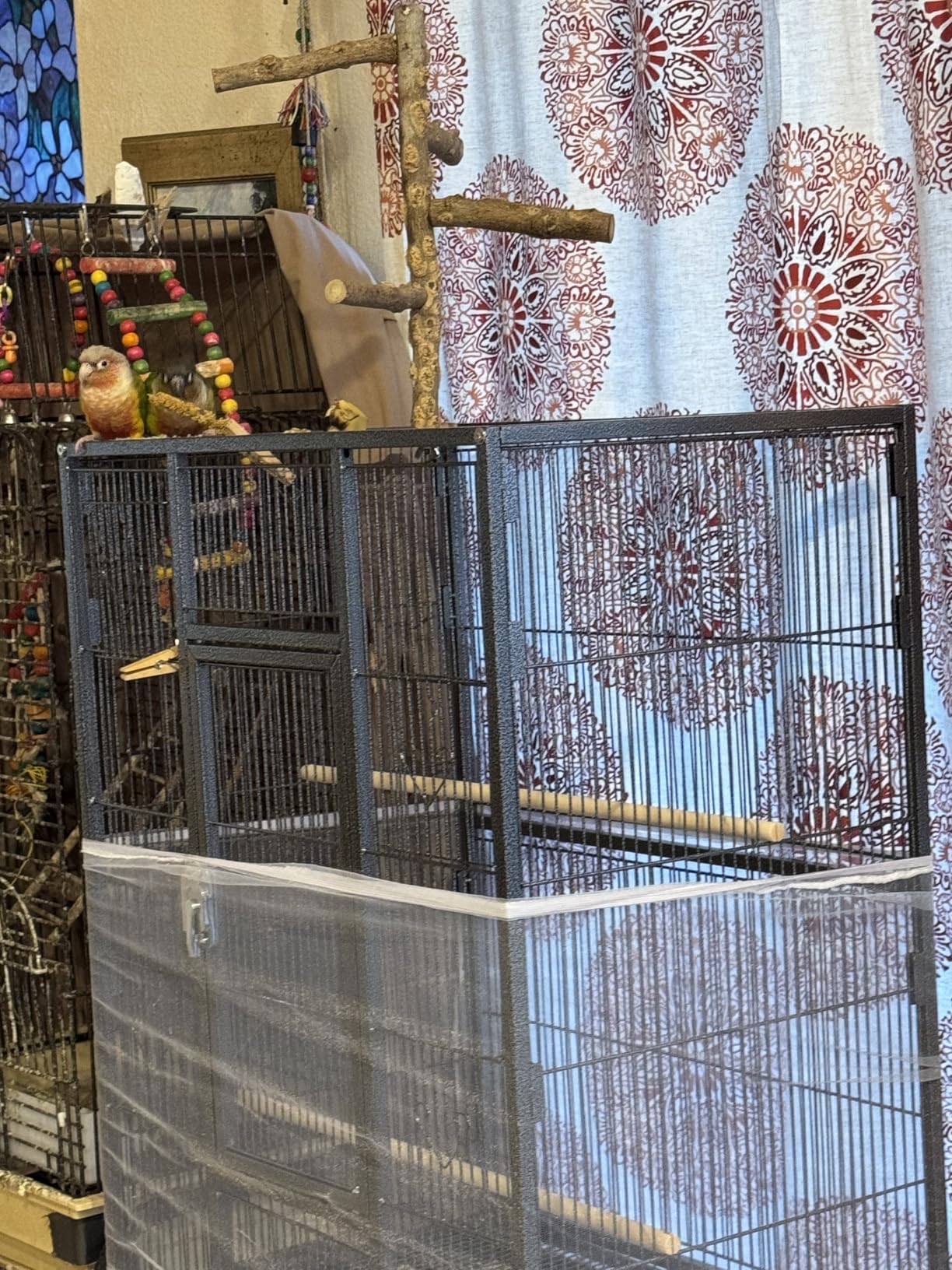 YITAHOME 53.9 inches Metal Bird Cage for Parakeets customer photo 1