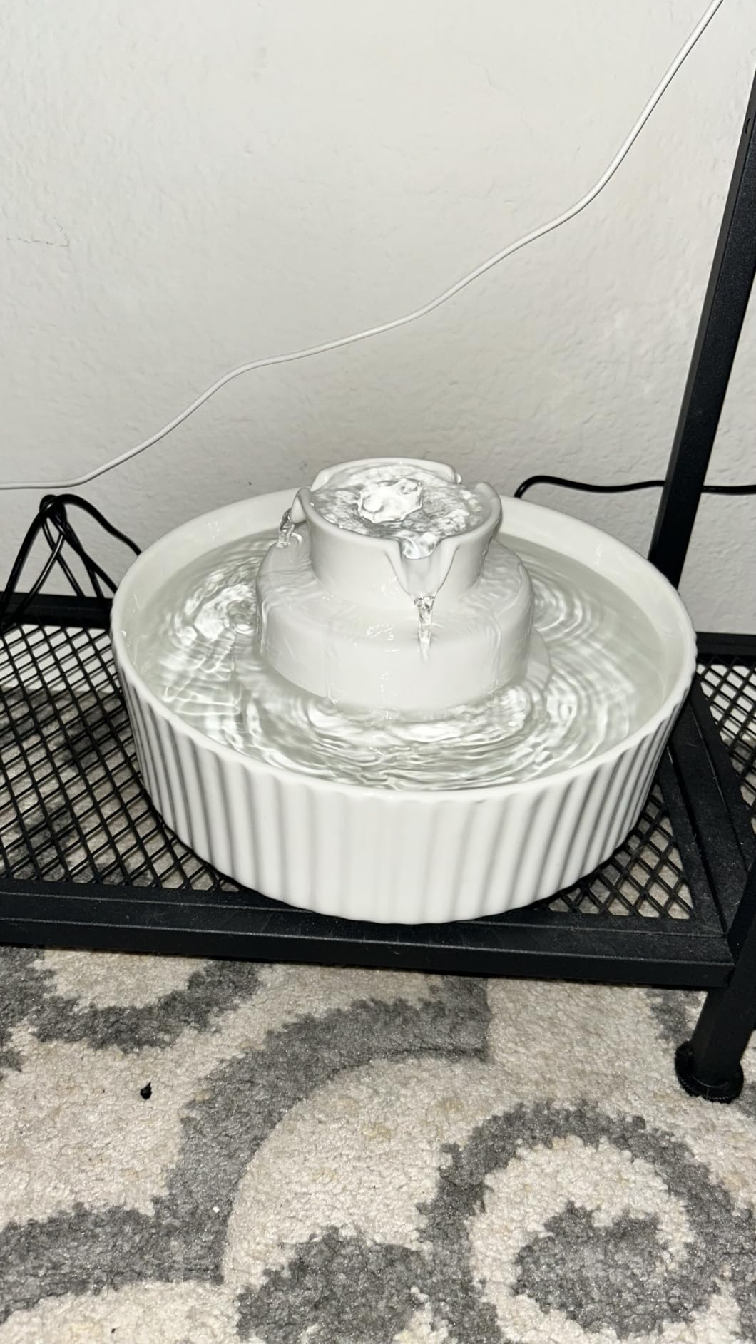 2.1L Ceramic Cat Water Fountain for Cats and Dogs-360° Ceramic Pet Fountain-70 Oz Large Water Capacity- Whisper-Quiet Water Flow-Great for Shy or Timid Pets- Fresh-Filtered Water customer photo 1