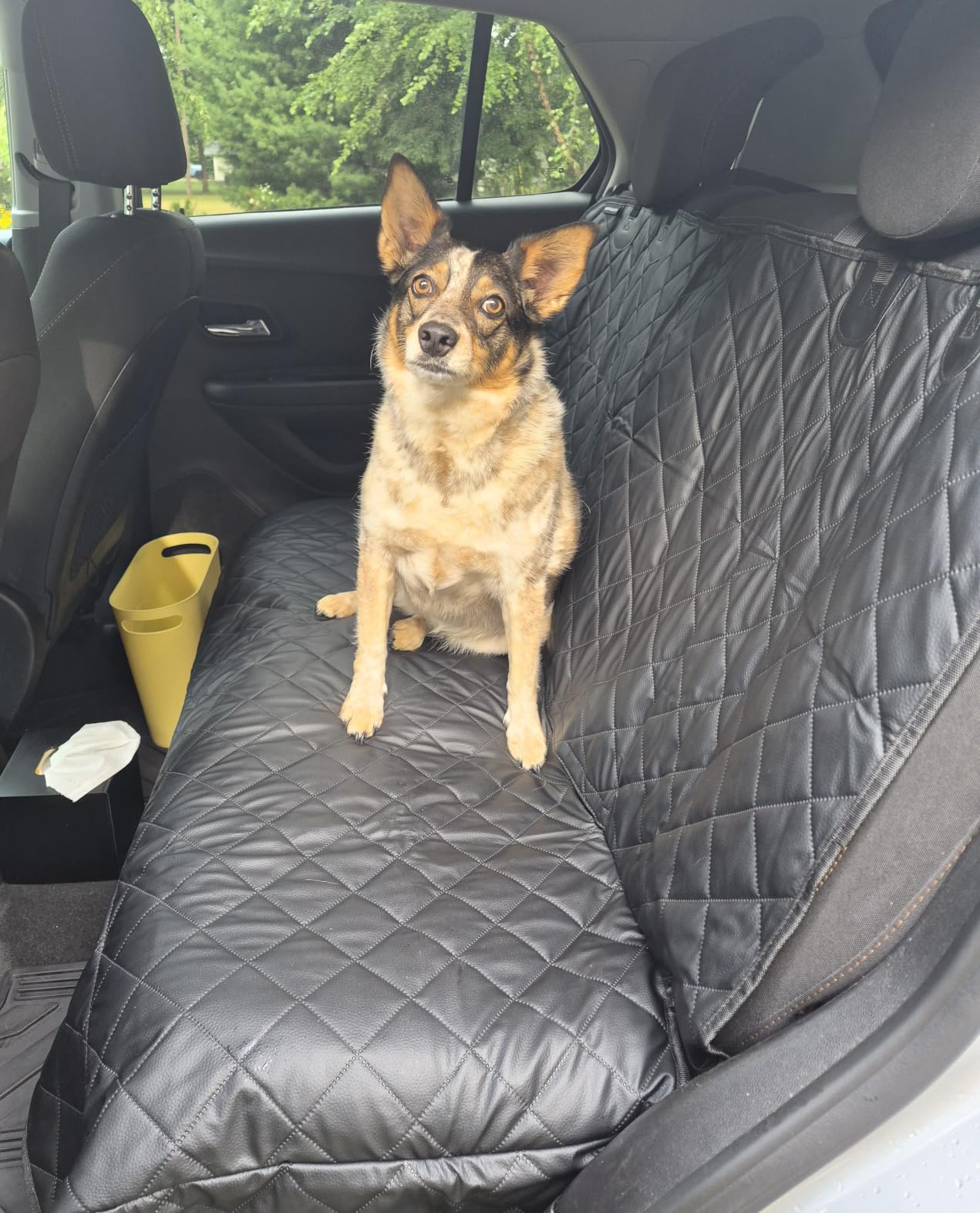 URPOWER Dog Car Seat Cover for Back Seat, Waterproof PU Leather customer photo 1