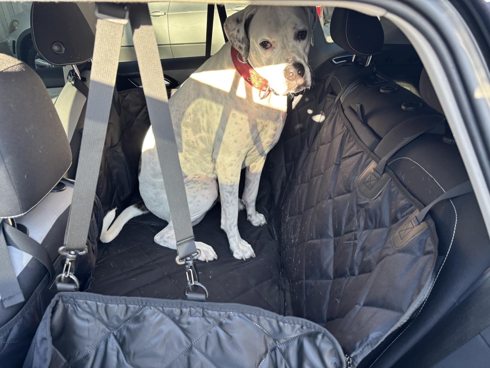 Hard Bottom Dog Car Seat Cover for Back Seat, PU Leather Extender customer photo 1