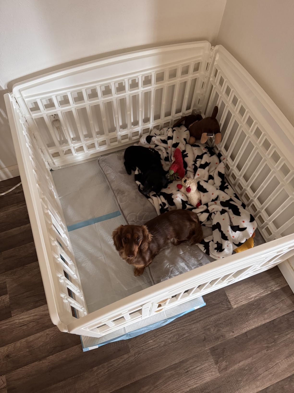 IRIS USA 4-Panel Dog Playpen, Pet Enclosure, Dark Gray customer photo 2