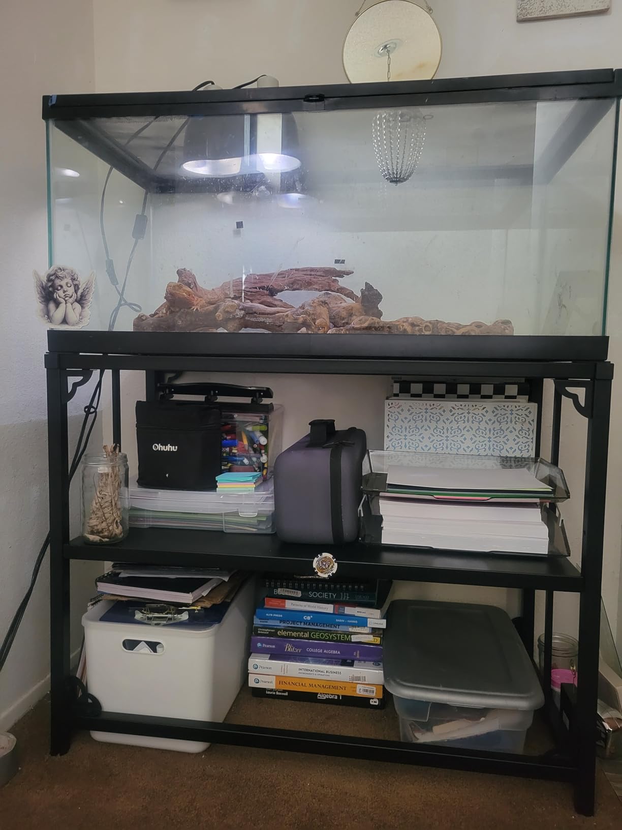 TOCRETOARE Fish Tank Stand 55-75 Gallon, Metal Aquarium Stand, 48.5