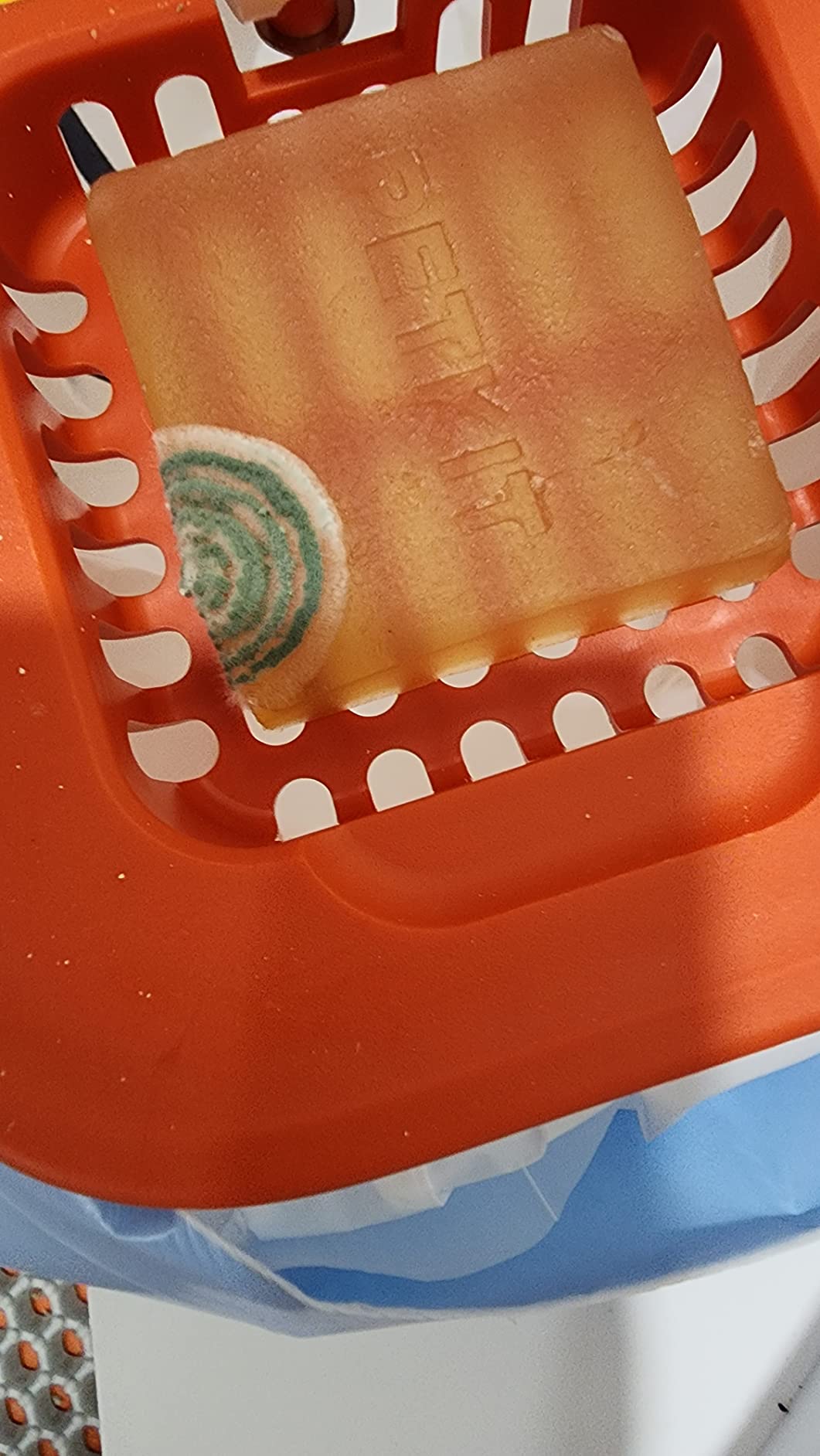 PETKIT Purobot Max 3 customer photo 2