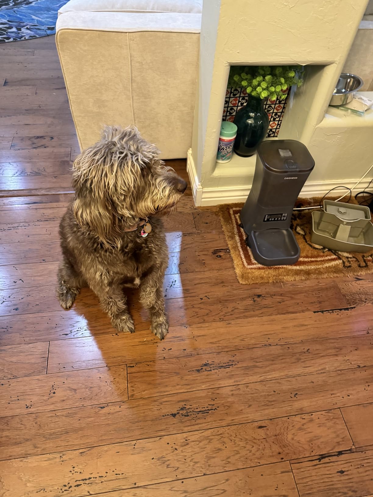 DOGNESS 11L Cordless Automatic Dog Feeder Large Breed customer photo 1