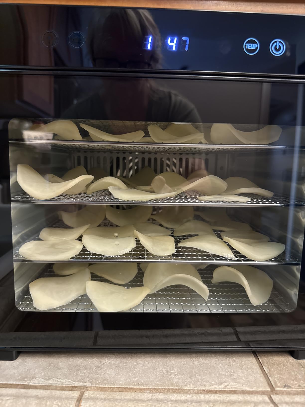 PSIIDAN Food Dehydrator Machine 8 Trays Stainless Steel 650W Faster Dryer customer photo 1