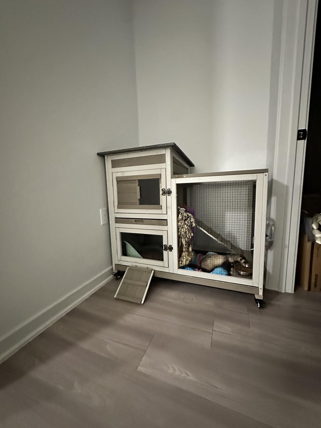 PetsCosset 60.2