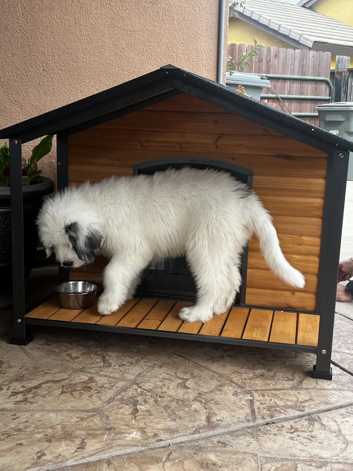 Large Heated Dog House Outdoor with Insulated Liner Kennel Front Porch,Grey customer photo 1