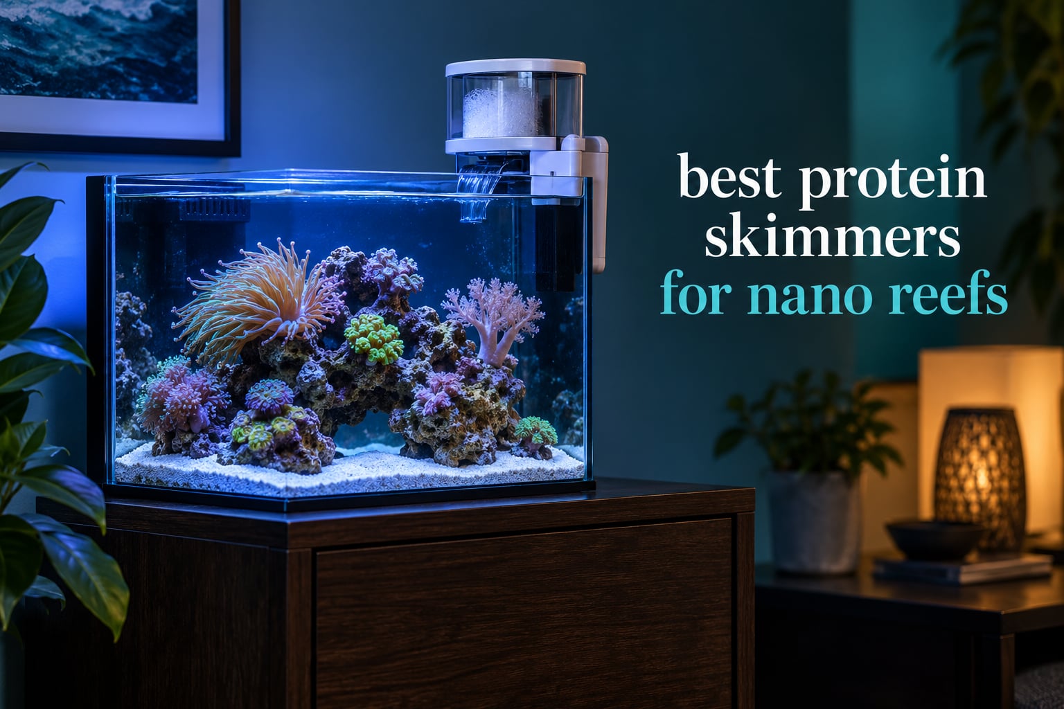 best protein skimmers for nano reefs